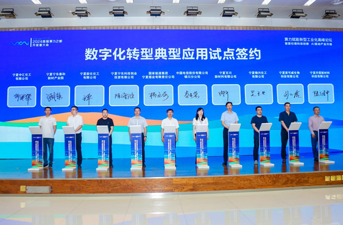 图片6