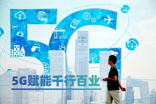 微信图片_20240918103147